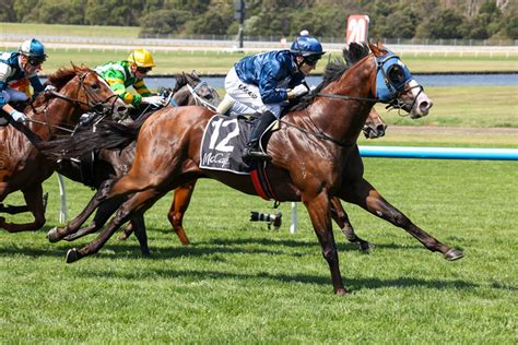 Lofty Strike Wins The Rubiton Stakes: Post Race Trainer And .